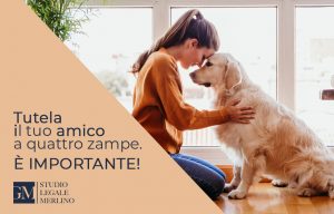 assicurazione-cani-blog-jpg-1024x654